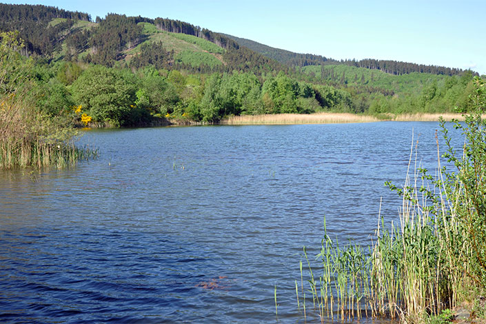 Goslarer Bergeteiche